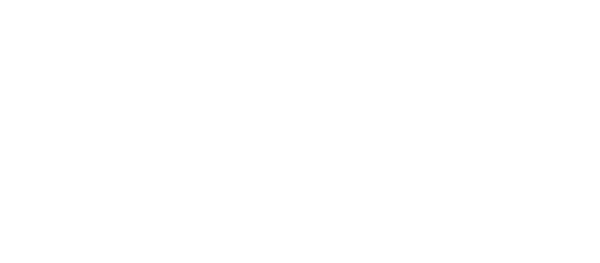 Logo Swiss Financial Partners